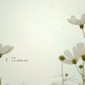 love。