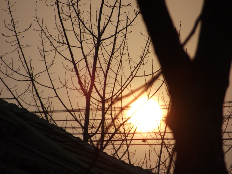 DSCF0559.JPG