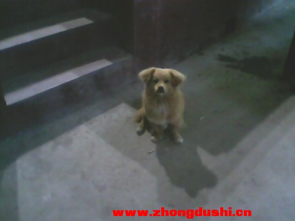 IMG0063A.jpg