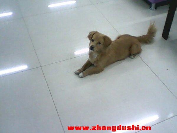 IMG0004A.jpg