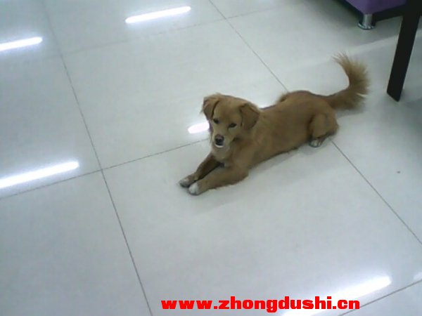 IMG0005A.jpg
