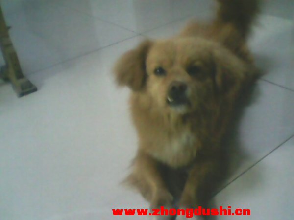 IMG0061A.jpg