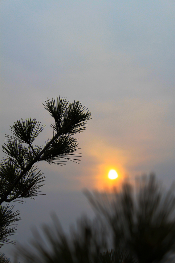 IMG_4908.jpg
