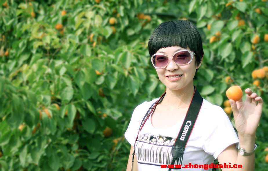 杏姑--汶上白石山杏形象代言人