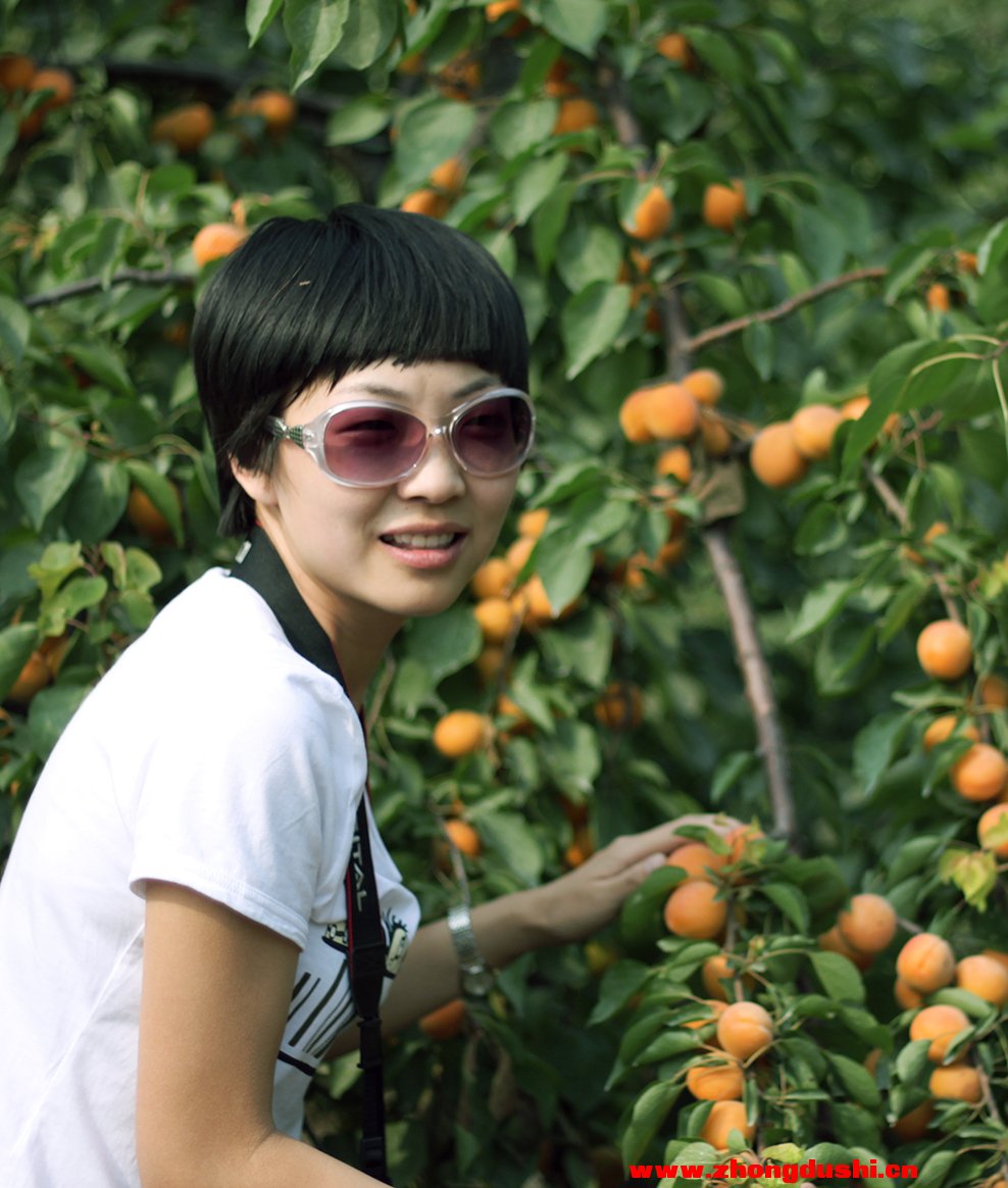 汶上白石山杏形象代言人