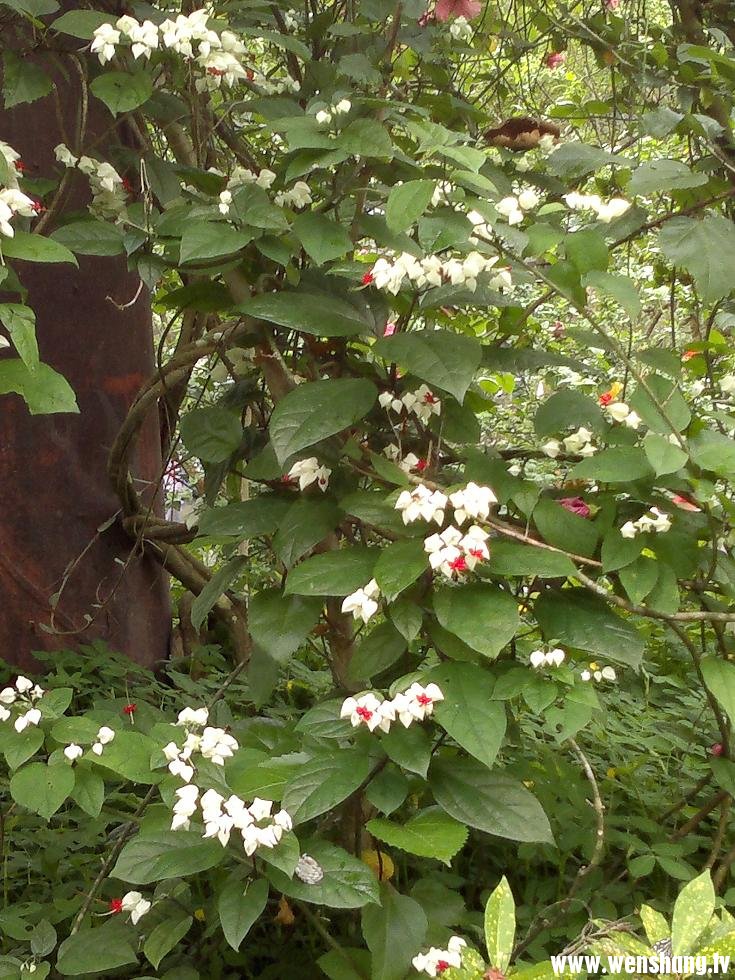 201207011072.jpg