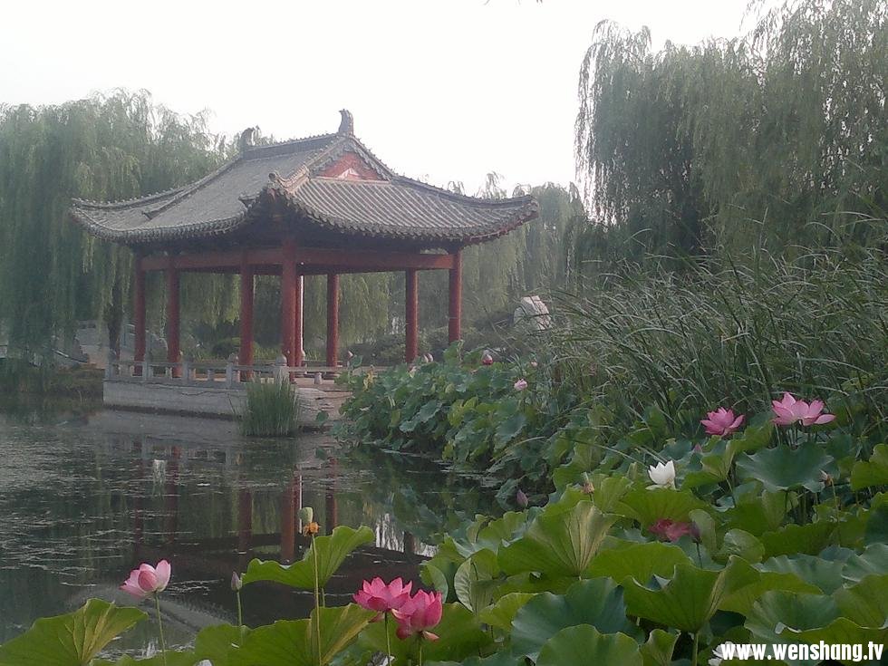 20120618910.jpg