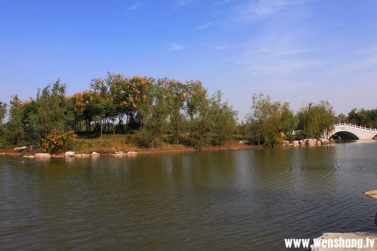 汶上莲花湖初秋景色