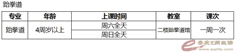 安庆市青少年宫2019年春季全专业课程部署
