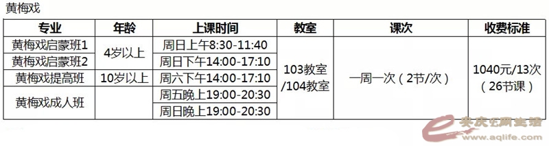 安庆市青少年宫2019年春季全专业课程部署