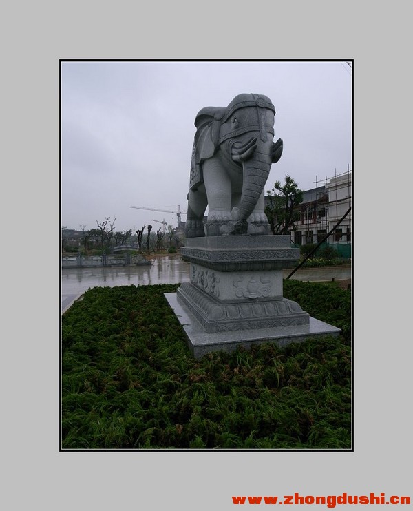 汶上4.jpg