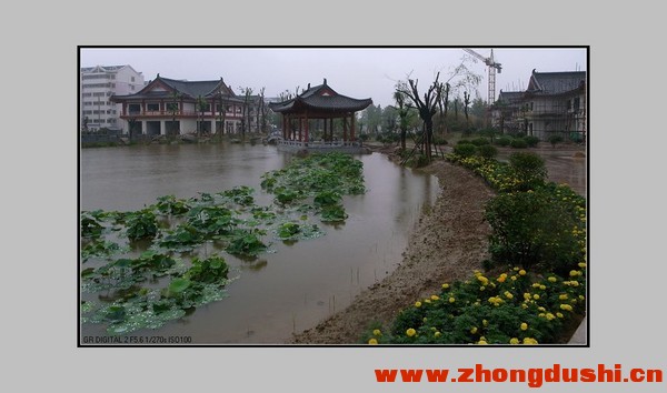 汶上2.jpg