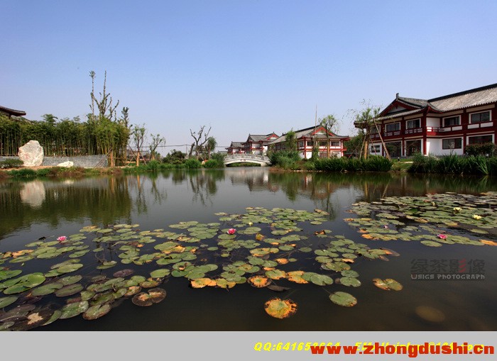 wenshang.jpg