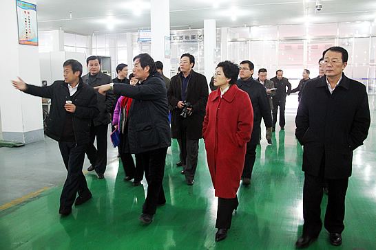 国务院参事、科技部原副部长刘燕华到汶上县新风光电子科技发展有限公司调研