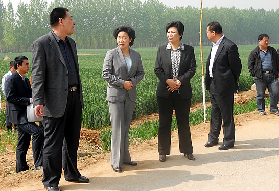 济宁市经济林发展暨果业振兴规划启动大会在汶上县召开