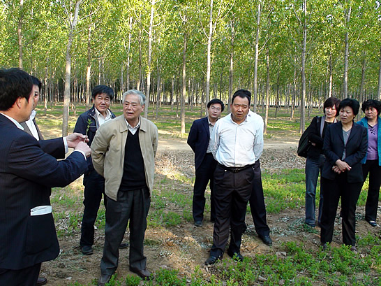 中国林科院首席科学家盛炜彤率调研组到汶上县调研林下经济发展工作