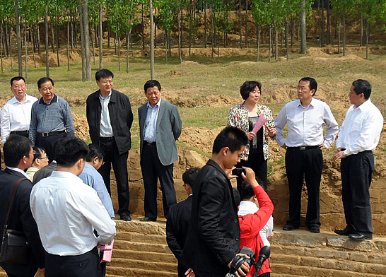 济宁市委副书记张术平来汶上县视察南旺分水龙王庙大遗址保护现场、村两委换届工作