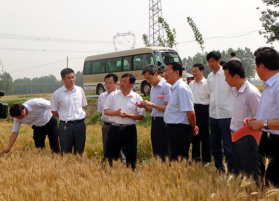 汶上县委书记、县人大常委会主任赵东升到乡镇视察农村农业“三夏”生产、秸秆禁烧、农 ...