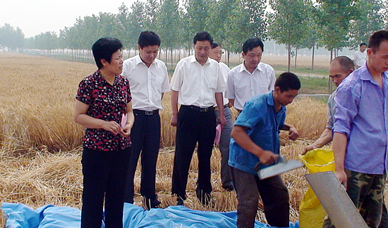 汶上县人大常委会副主任戴福盈，汶上县政府副县长闫波到乡镇督导检查“三夏”生产和秸 ...