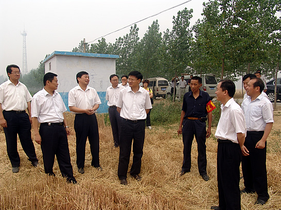 汶上县委副书记、县长孙琪，副县长岳耀寅视察“三夏”生产工作