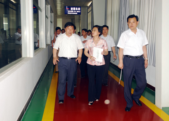 ，济宁市政府副市长陈颖率市科技进步考核组来汶上县考核2009—2010年度科技进步工作