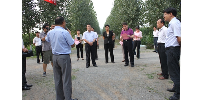 山东省绿化模范县检查验收组对汶上县省级绿化模范县创建工作进行检查验收