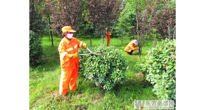 汶上公路局对公路两侧绿化带进行全面整治 喜迎2012国庆中秋双节