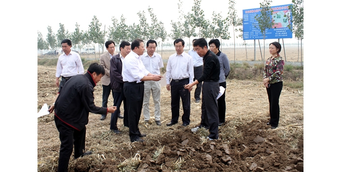 山东省农厅副厅长王登启来汶上县检查指导“三秋”生产工作