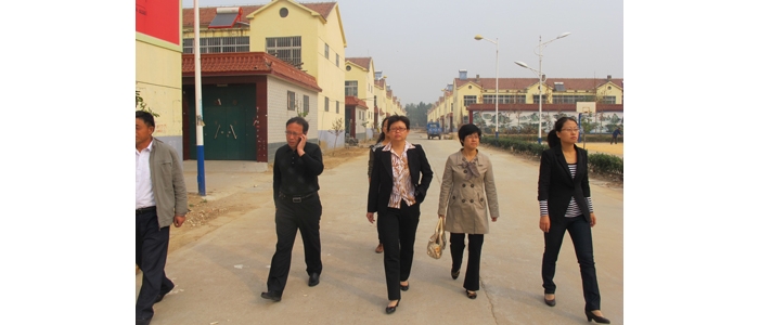 汶上县妇联主席胡秀玉到义桥镇督导检查环境治理进家庭工作