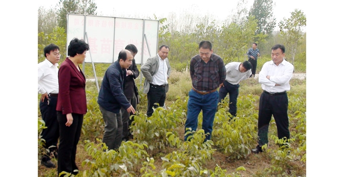 中国经济林协会会长张志达来汶上县考察工作