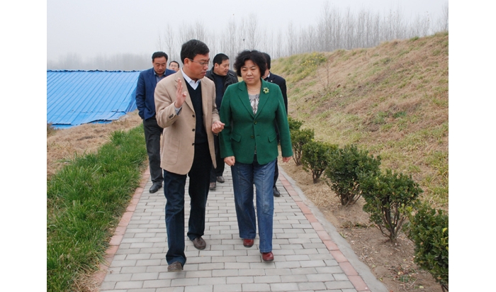 济宁市文物局局长孙美荣到汶上督导大运河保护和申遗工作