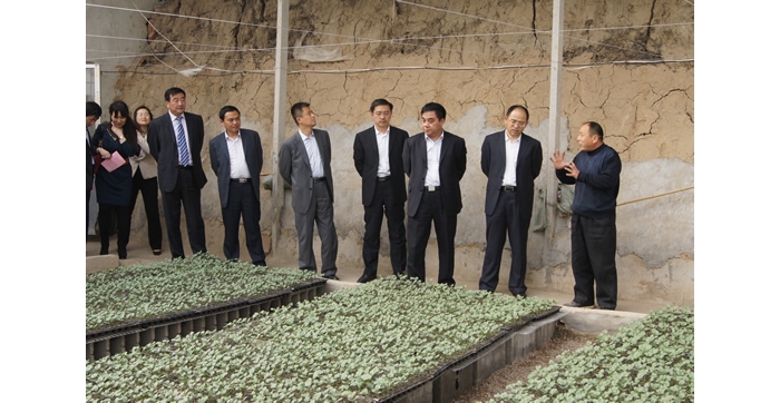 中国人民银行济南分行副行长肖龙沧来汶上县调研农业经济发展和金融服务三农工作