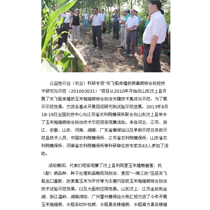 “玉米粗缩病综合防治技术示范现场观摩活动”在山东汶上县举办