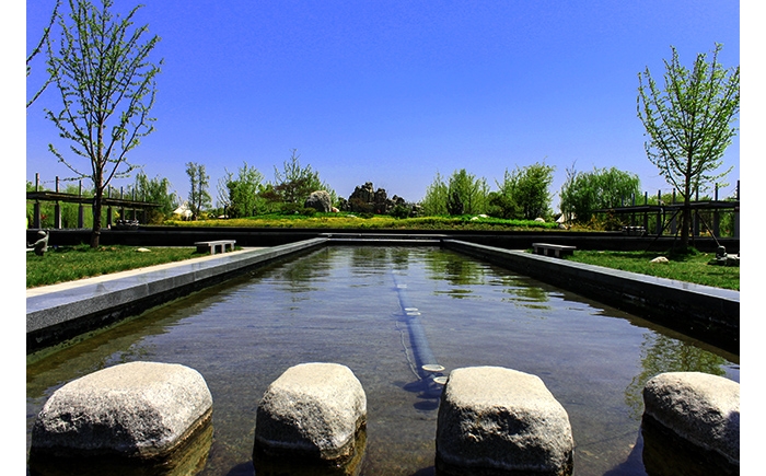 汶上县林业局聘请法国教授任法赫为农民举办核桃优质坚果标准化生产技术专题讲座