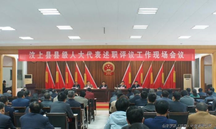 汶上县召开县级人大代表述职评议现场会
