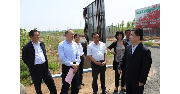 侯典峰陪同林兆谦到县芦花鸡协会、义桥镇苗木基地实地检查指导