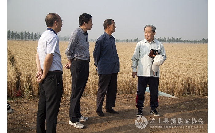 济宁市老摄协主席韩笔祥来汶上县视察麦收情况