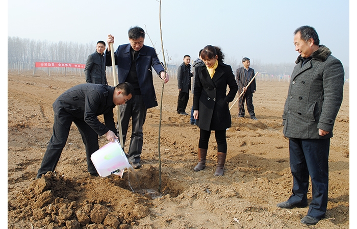县总工会积极参加全县义务植树活动