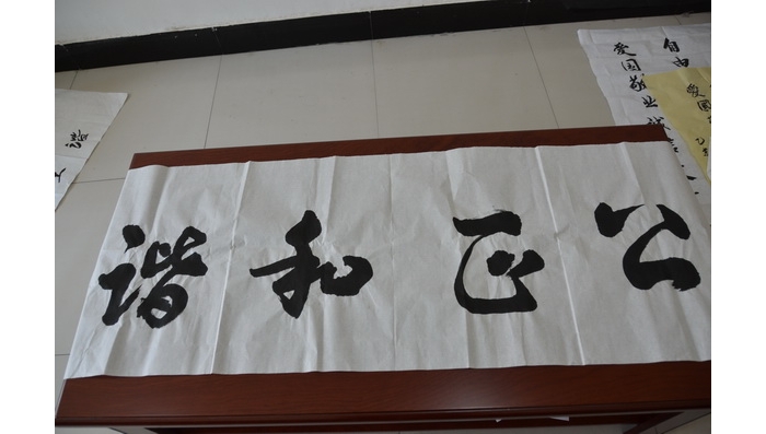我县乡村学校少年宫团队活动成果显著