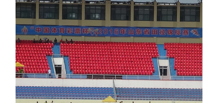 我县运动员在省田径锦标赛中再创佳绩