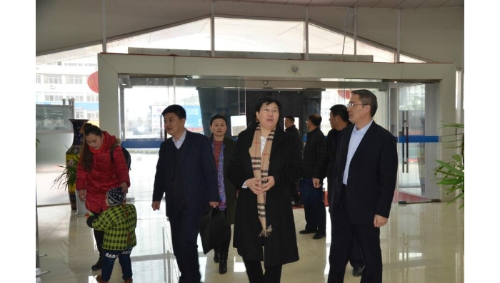 县委书记李志红视察人社工作