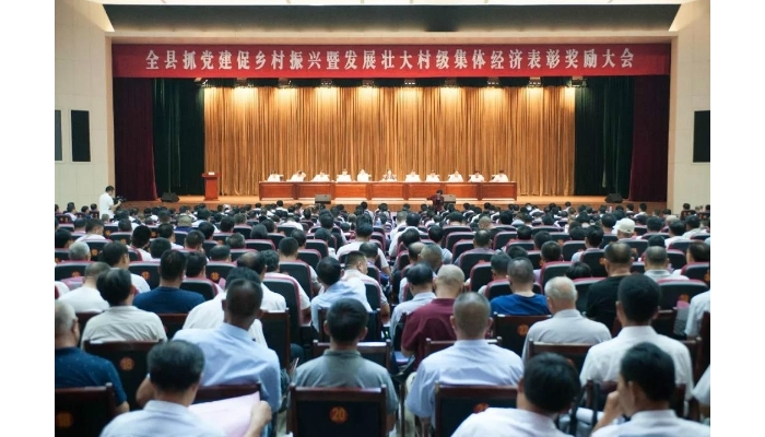 全县抓党建促乡村振兴暨发展壮大村级集体经济表彰大会召开