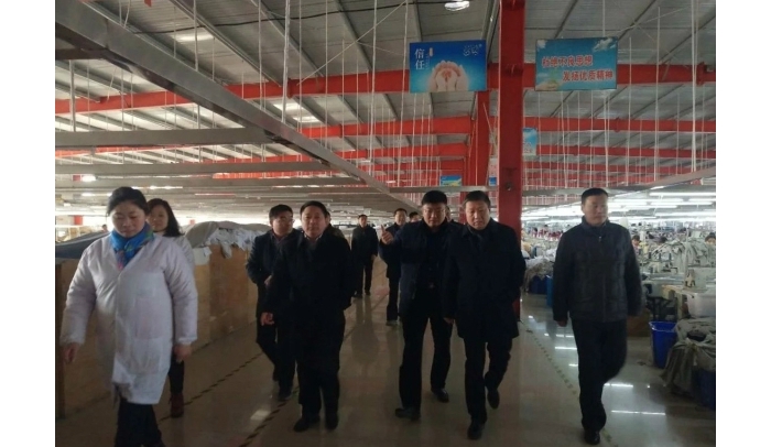 县委副书记、县长李洪文到郭仓镇视察重点工作