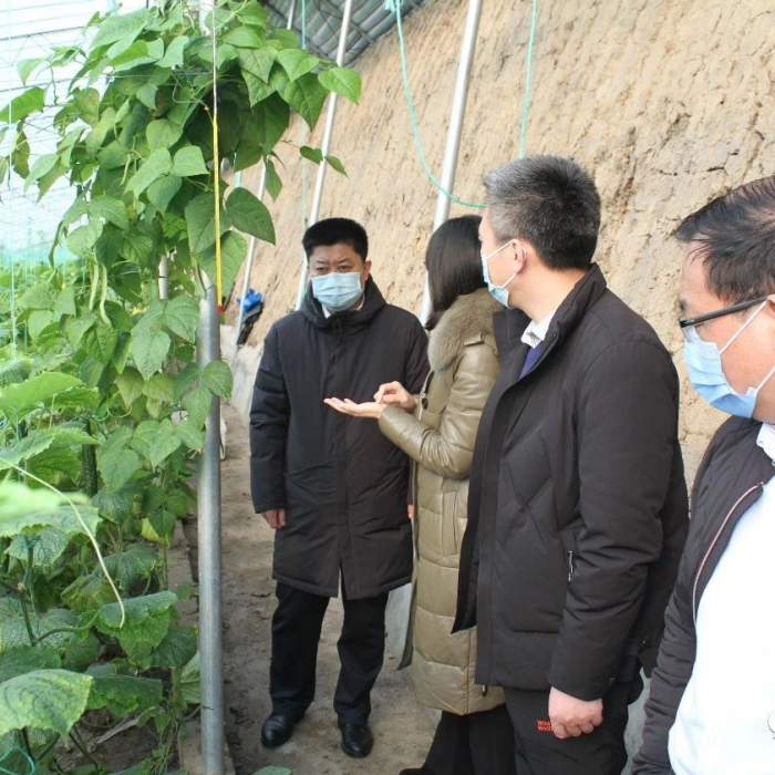 汶上县人民政府 政务要闻 县委常委、副县长王洪正带队督导检查全县蔬菜生产保障供给工 ...