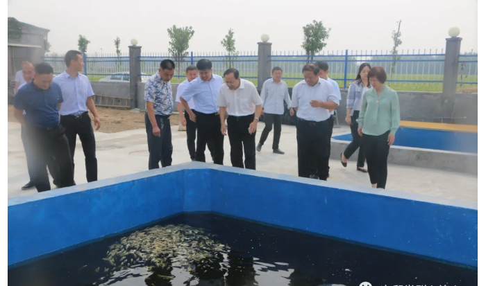 省国资委党委委员、副主任，机关党委书记尹刚到次邱镇调研指导省派乡村振兴服务队工作