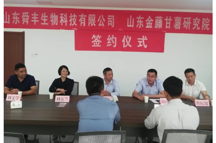 次邱镇举行山东金藤甘薯研究院与山东舜丰生物科技有限公司合作签约仪式