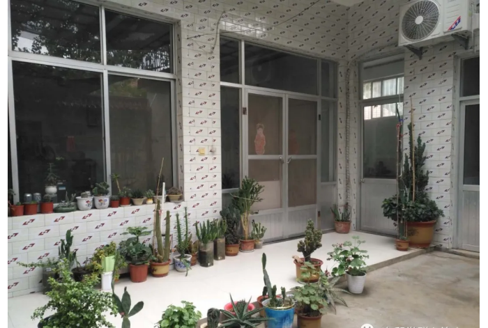 县妇联主席张颖到次邱镇督导检查“美丽庭院”创建工作